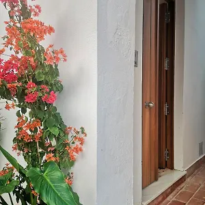 Erizo 3 Loft Diafáno En El Centro Histórico Tarifa